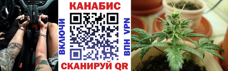 закладка  Тбилисская  Конопля тримм 